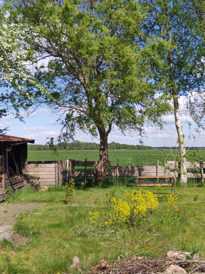 Boven De Wol Appelscha Exterior foto
